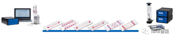 ibidi細胞功能實驗顯微成像