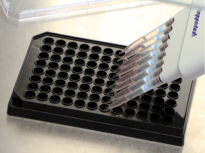 1701934206212114.jpg 1701934206212114.jpg