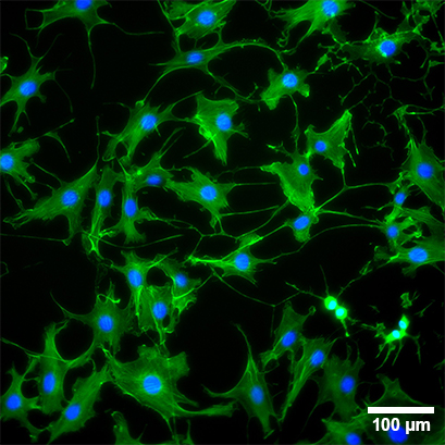 1701934338562415.png 1701934338562415.png