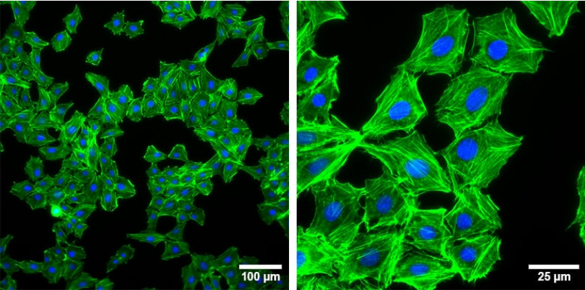 1763606286164666.png 1763606286164666.png