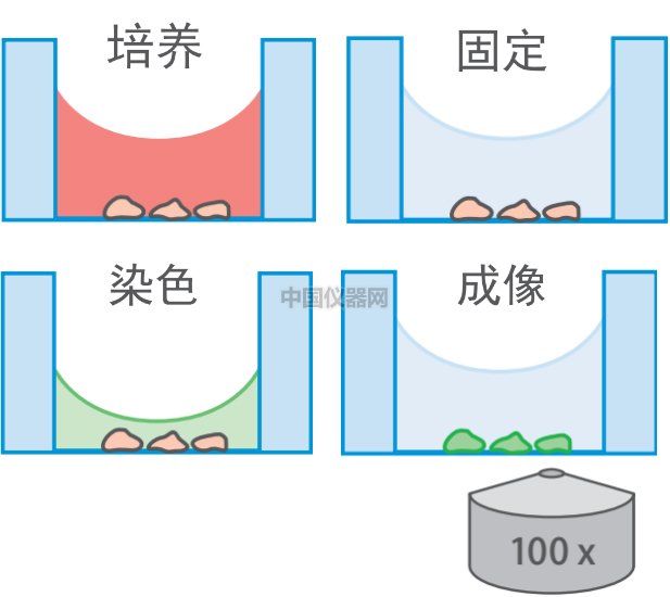 激光共聚焦實驗的樣品準備方法對比——無需細胞爬片的樣品準備新方法VS傳統(tǒng)方法